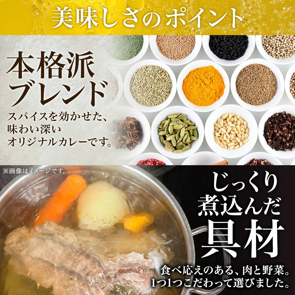 【北国からの贈り物】 まるごとチキンレッグスープカレー  1袋300g （中辛） 2食