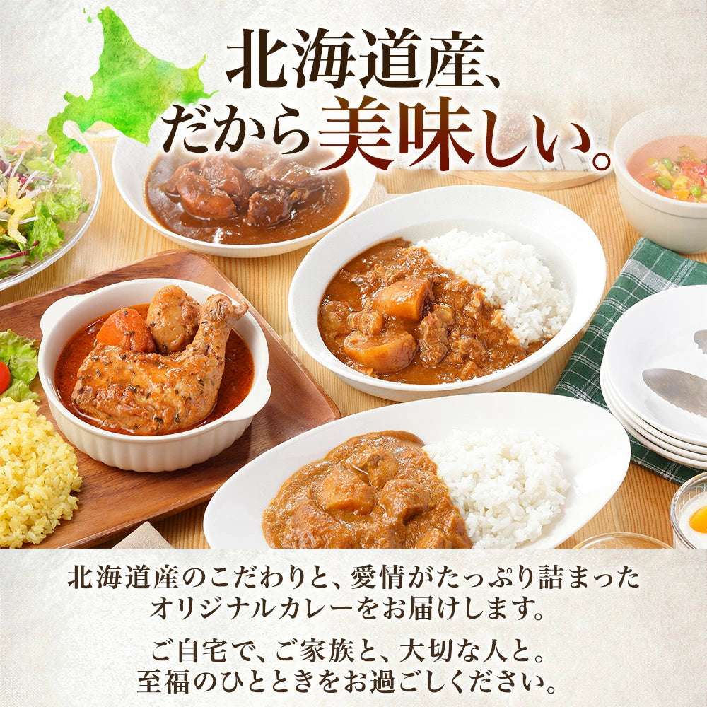 【北国からの贈り物】 まるごとチキンレッグスープカレー  1袋300g （中辛） 2食