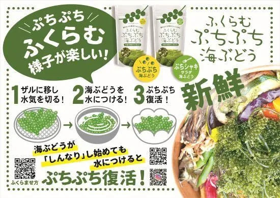 【海ん道】ふくらむぷちぷち海ぶどう（ぷちシャキタイプ 1袋30g x2 ×ぷちぷちタイプ 1袋40g x2） 全4袋