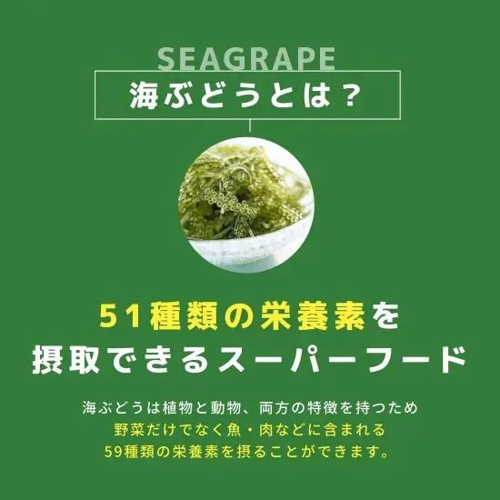 【海ん道】ふくらむぷちぷち海ぶどう（ぷちシャキタイプ 1袋30g x2 ×ぷちぷちタイプ 1袋40g x2） 全4袋