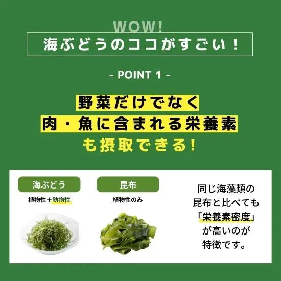 【海ん道】ふくらむぷちぷち海ぶどう（ぷちシャキタイプ 1袋30g x2 ×ぷちぷちタイプ 1袋40g x2） 全4袋