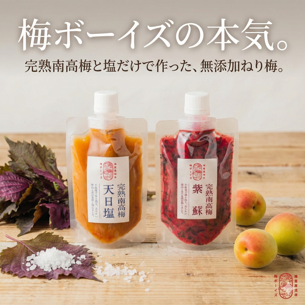 梅ボーイズ 無添加 ねり梅 チューブ 2種セット（各140g）梅と塩/梅と紫蘇 ご飯のお供 調味料 完熟南高梅