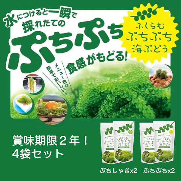 【海ん道】ふくらむぷちぷち海ぶどう（ぷちシャキタイプ 1袋30g x2 ×ぷちぷちタイプ 1袋40g x2） 全4袋