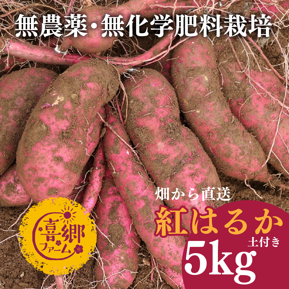 喜郷ファーム 紅はるか 5kg - さつまいも・無農薬・無化学肥料・自然で奥深い甘み・栄養満点