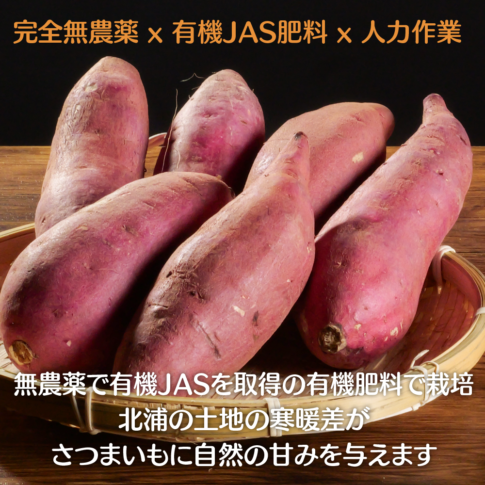 喜郷ファーム 紅はるか 5kg - さつまいも・無農薬・無化学肥料・自然で奥深い甘み・栄養満点