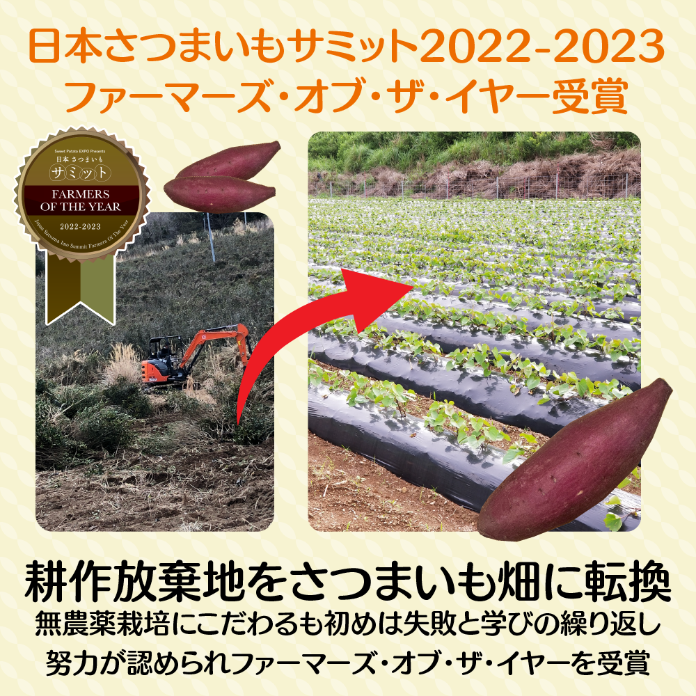 喜郷ファーム 紅はるか 5kg - さつまいも・無農薬・無化学肥料・自然で奥深い甘み・栄養満点