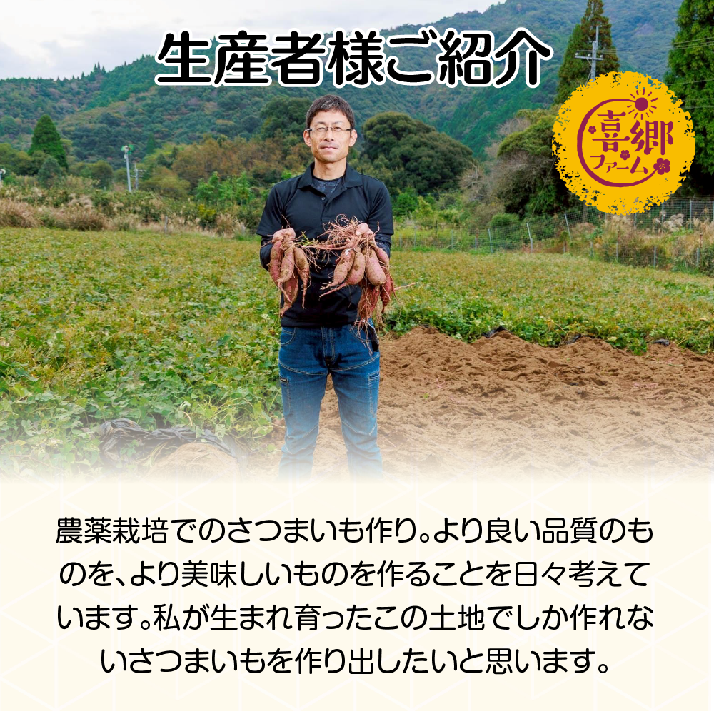 喜郷ファーム 紅はるか 5kg - さつまいも・無農薬・無化学肥料・自然で奥深い甘み・栄養満点