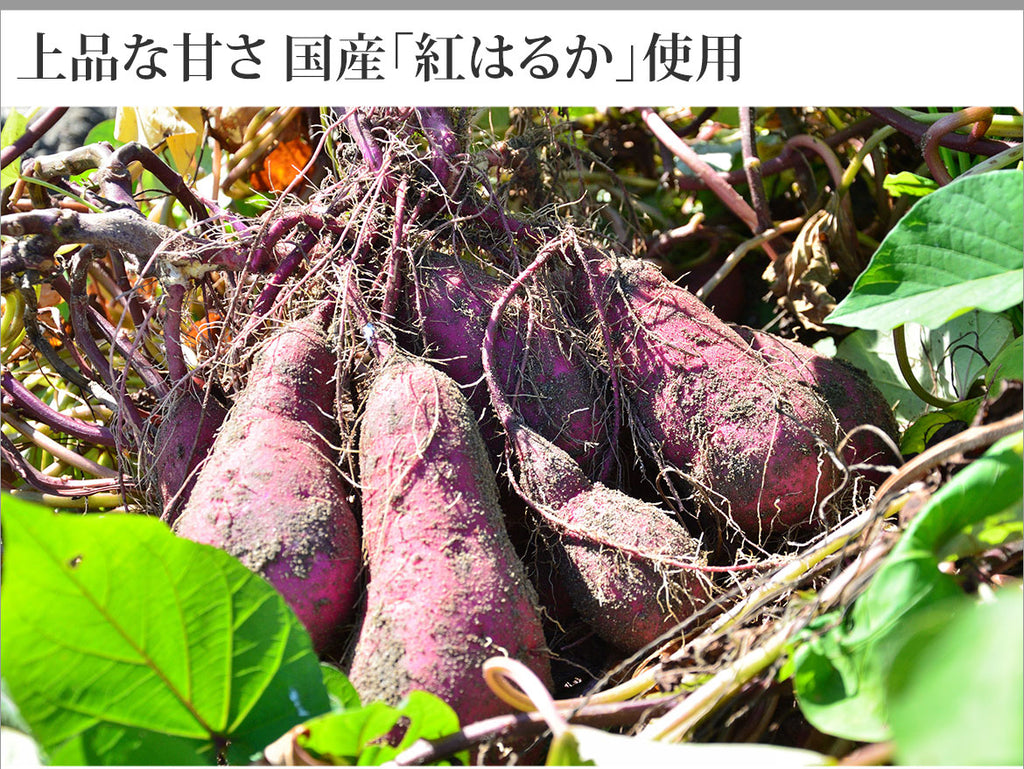 【北国からの贈り物】黄金さつま 干し芋 2袋（1袋100gx2）