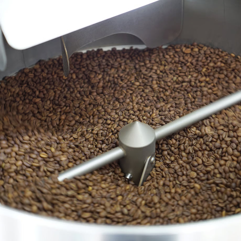 【TAOCA COFFEE】 コーヒー豆 2種類セット（1袋100gx2）