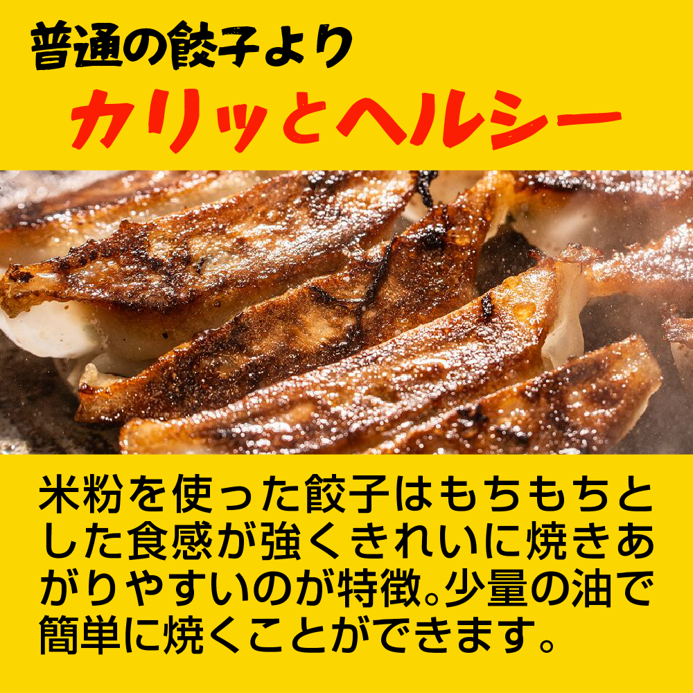 LogStyle もちもち米粉餃子30個+ニラ醤油セット - グルテンフリー・ニンニク不使用・当店限定セット